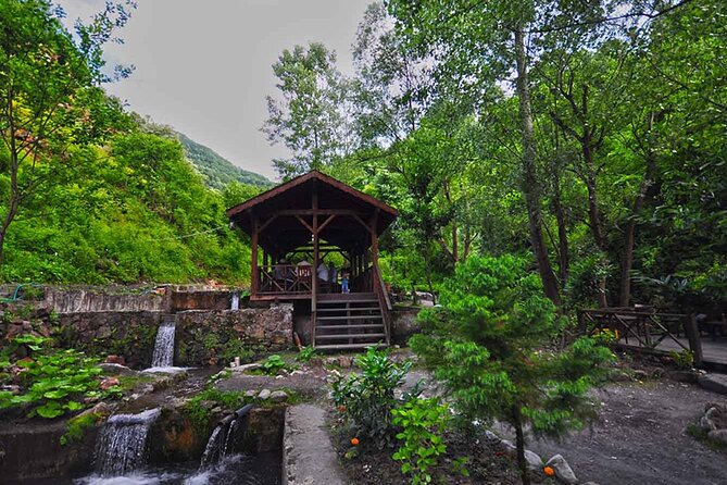 From Istanbul: Sapanca and Masukiye Day Trip with Lunch - Cable Car Ride: A Scenic Break You Can Pick
