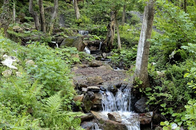 From Istanbul: Sapanca and Masukiye Day Trip with Lunch - Lunch Near the Waterfall: Included, Scenic, Sometimes Late