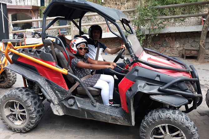 From Istanbul: Sapanca and Masukiye Day Trip with Lunch - Hotel Pickup and the First Choice: Darıca Zoo or Lion Park