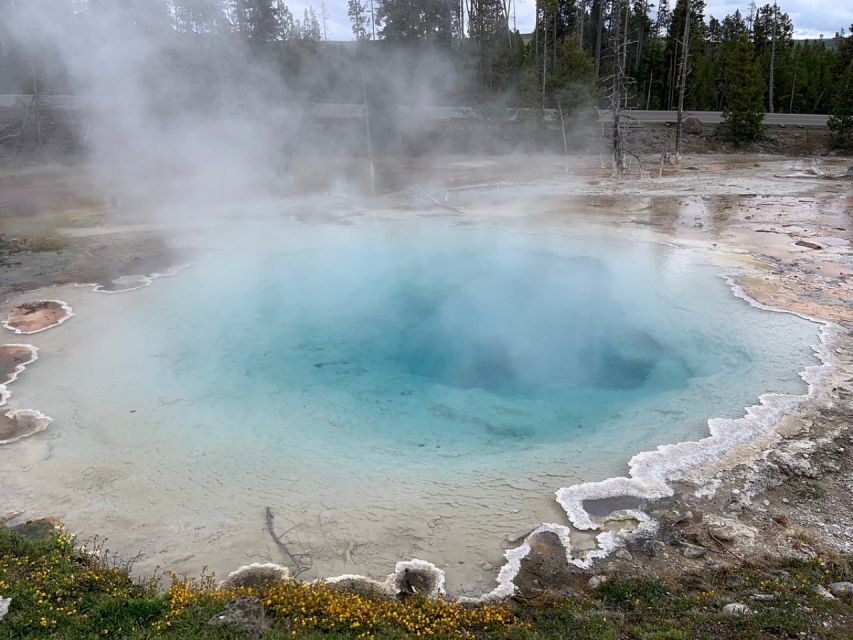 From Jackson: Yellowstone National Park Day Trip with Lunch - Key highlights that make this trip feel like a win
