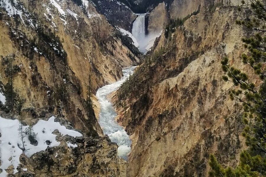 From Jackson: Yellowstone National Park Day Trip with Lunch - Lunch, snacks, drinks, and binoculars: the practical stuff that saves energy