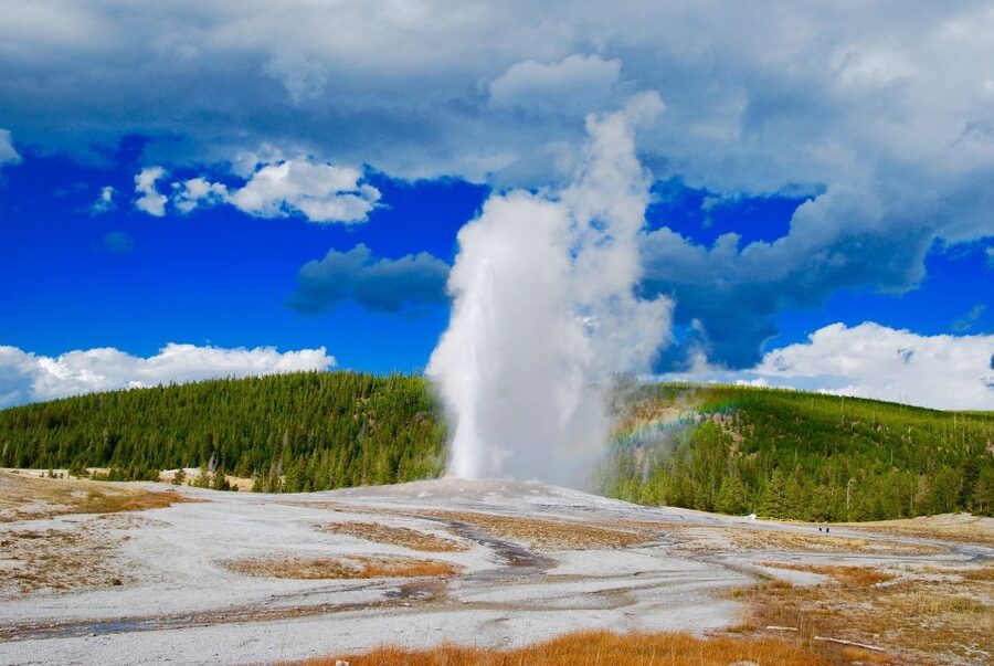 From Jackson: Yellowstone National Park Day Trip with Lunch - Yellowstone’s Lower Loop, done in one long, guided day