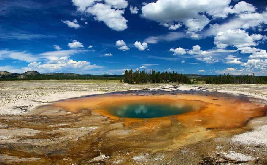 From Jackson: Yellowstone National Park Day Trip with Lunch - Upper Geyser Basin and Old Faithful: boardwalk walking with real context