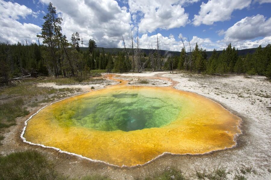 From Jackson: Yellowstone National Park Day Trip with Lunch - Midway Geyser Basin, Firehole Lake Loop, and Fountain Paint Pots