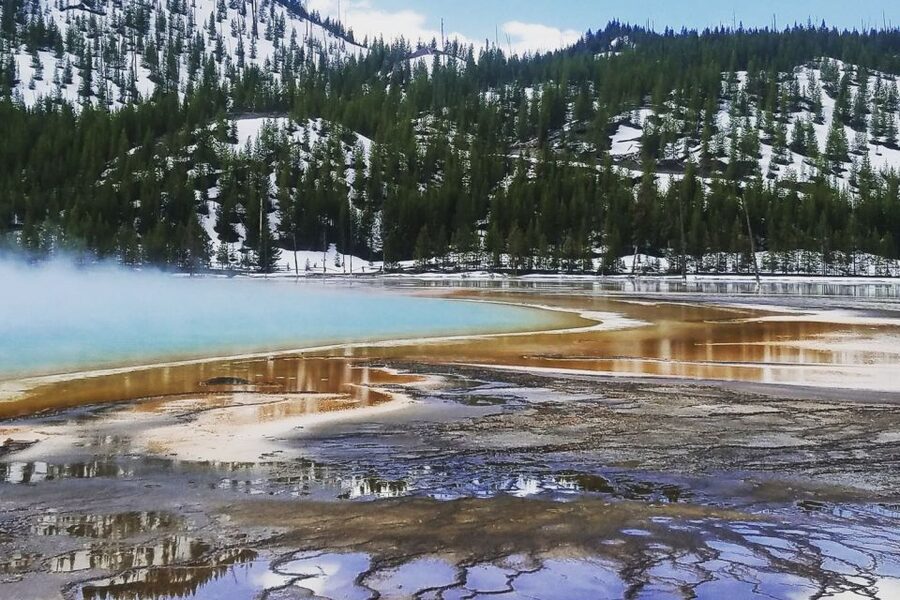 From Jackson: Yellowstone National Park Day Trip with Lunch - Yellowstone River Canyon Area: Upper and Lower Falls