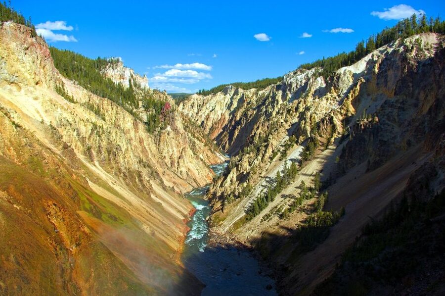 From Jackson: Yellowstone National Park Day Trip with Lunch - Hayden Valley and the wildlife corridor effect