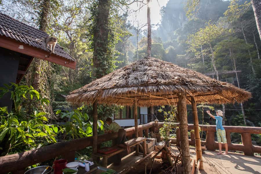 From Khao Lak: Day Trip to Khao Sok with Elephant Camp Visit - Key Highlights Worth Your Time