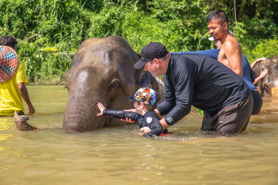 From Khao Lak: Day Trip to Khao Sok with Elephant Camp Visit - Khao Sok By Canoe: The Jungle River Part You’ll Remember