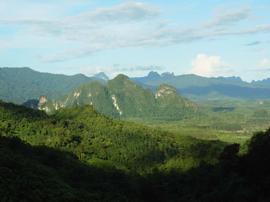 From Khao Lak: Day Trip to Khao Sok with Elephant Camp Visit - Treehouse Thai Buffet Lunch: More Than Just Fuel