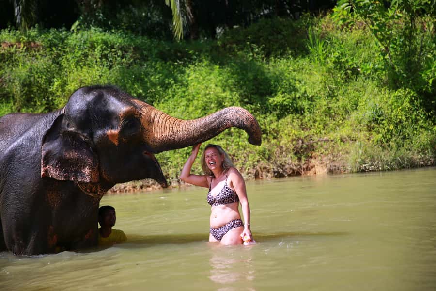From Khao Lak: Day Trip to Khao Sok with Elephant Camp Visit - Price and Value: Is $99 a Fair Deal?