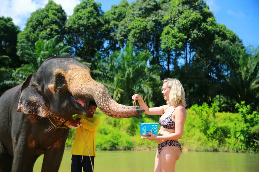 From Khao Lak: Day Trip to Khao Sok with Elephant Camp Visit - What to Pack: Your Easy Checklist for Water, Mud, and Photos