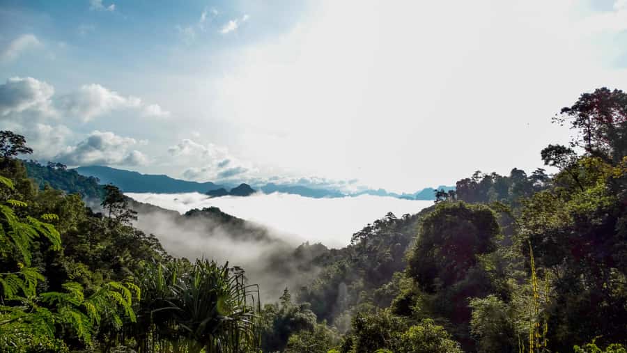 From Khao Lak: Day Trip to Khao Sok with Elephant Camp Visit - Should You Book This Day Trip to Khao Sok From Khao Lak?