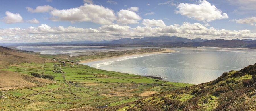 From Killarney: Day Trip to Dingle - Fungi the dolphin: why this stop is a real conversation starter