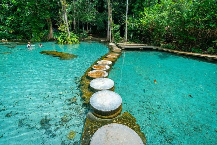 From Krabi: Khao Sok Cheow Lan Lake Day Trip - Who should book this Cheow Lan day trip (and who should skip it)