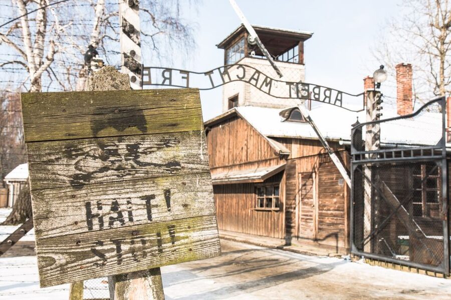 From Krakow: Auschwitz and Wieliczka Salt Mine Full-Day Trip - A Packed 11 Hours Out of Krakow (and Why It Works)