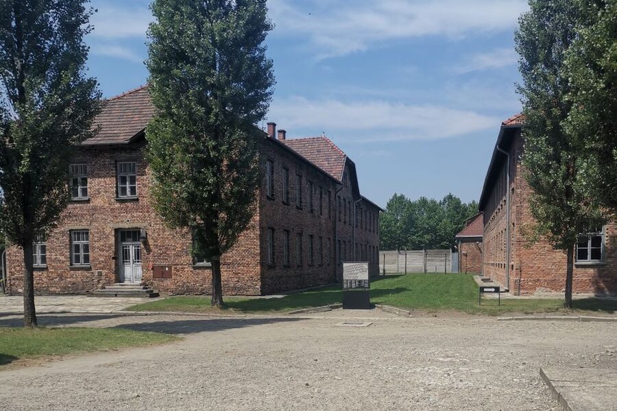 From Krakow: Auschwitz-Birkenau Camp Complex Guided Day Trip - Key highlights that matter on this tour