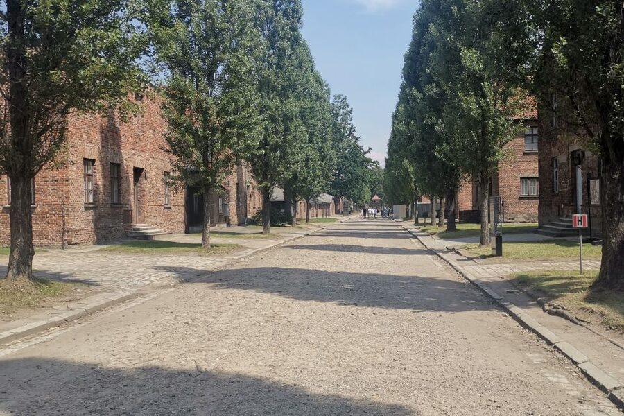 From Krakow: Auschwitz-Birkenau Camp Complex Guided Day Trip - Practical Tips So You Can Focus (Not Fight) the Day