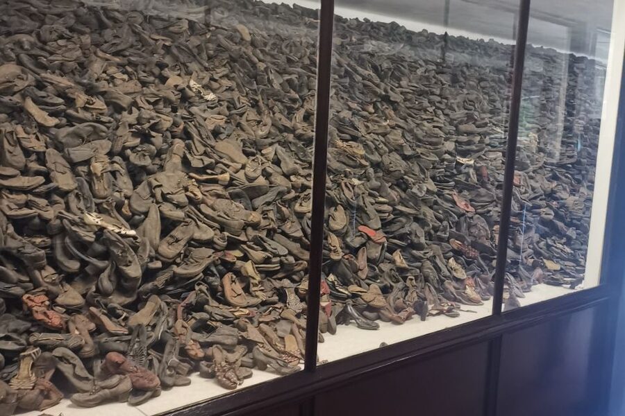 From Krakow: Auschwitz-Birkenau Camp Complex Guided Day Trip - Walking In: The Auschwitz Entrance and Prisoner Blocks