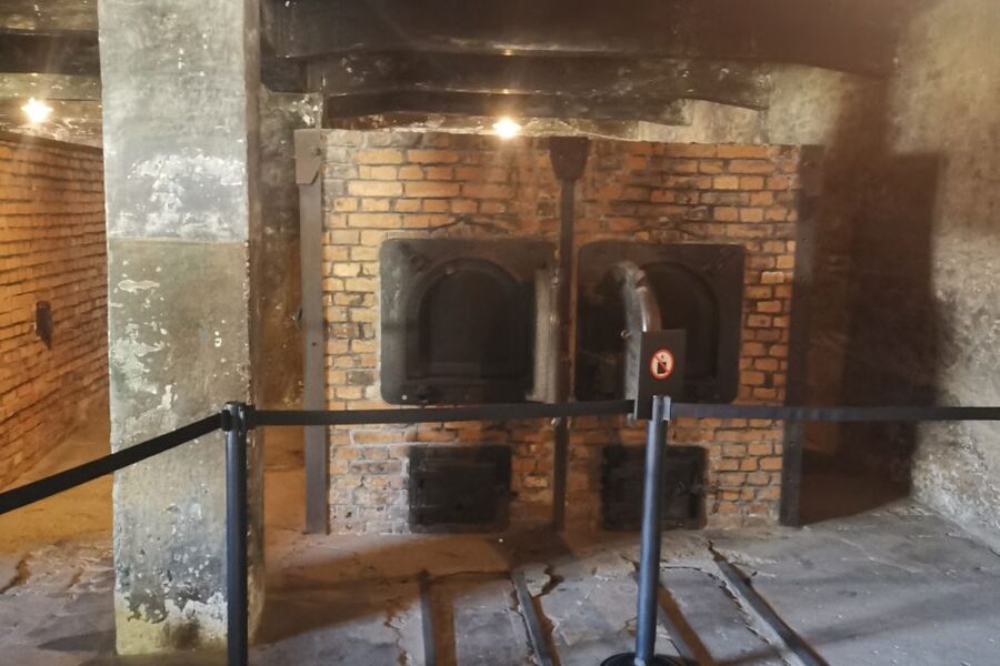 From Krakow: Auschwitz-Birkenau Camp Complex Guided Day Trip - The Everyday Objects Lesson: Why Those Displays Hit Hard