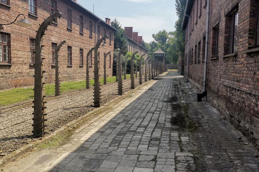 From Krakow: Auschwitz-Birkenau Camp Complex Guided Day Trip - Monowitz and Day-to-Day Survival: What Your Guide Explains