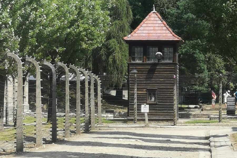 From Krakow: Auschwitz-Birkenau Camp Complex Guided Day Trip - Time, Timing, and What Comfort Looks Like on a 7-Hour Day