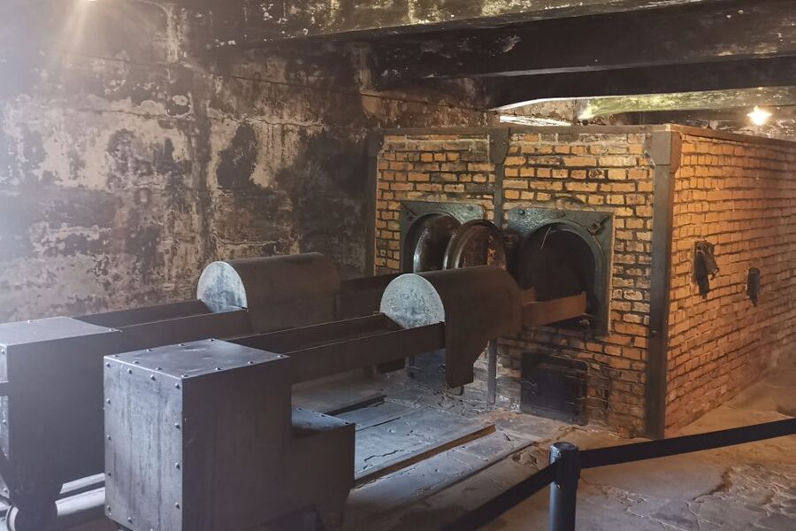From Krakow: Auschwitz-Birkenau Camp Complex Guided Day Trip - The $83 Price: Where the Value Actually Comes From