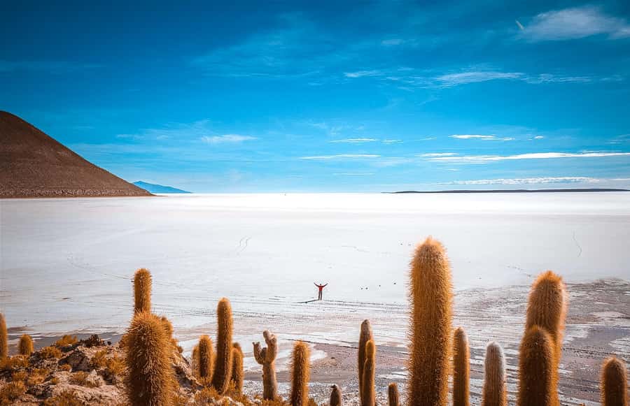 From La Paz: 4-Day Trip to San Pedro de Atacama w/Salt Flats - Key Moments You’ll Remember
