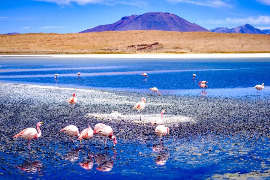 From La Paz: 4-Day Trip to San Pedro de Atacama w/Salt Flats - Guide Style, Group Size, and How the 4WD Splits