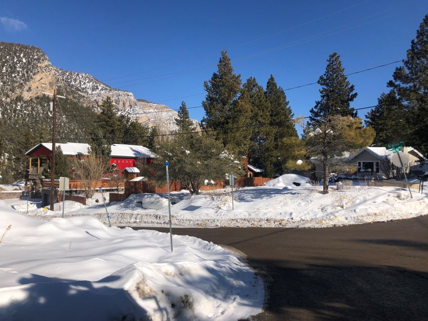 From Las Vegas: Day Trip to Mount Charleston Resort - Mount Charleston in summer and winter: hiking trails and ski country