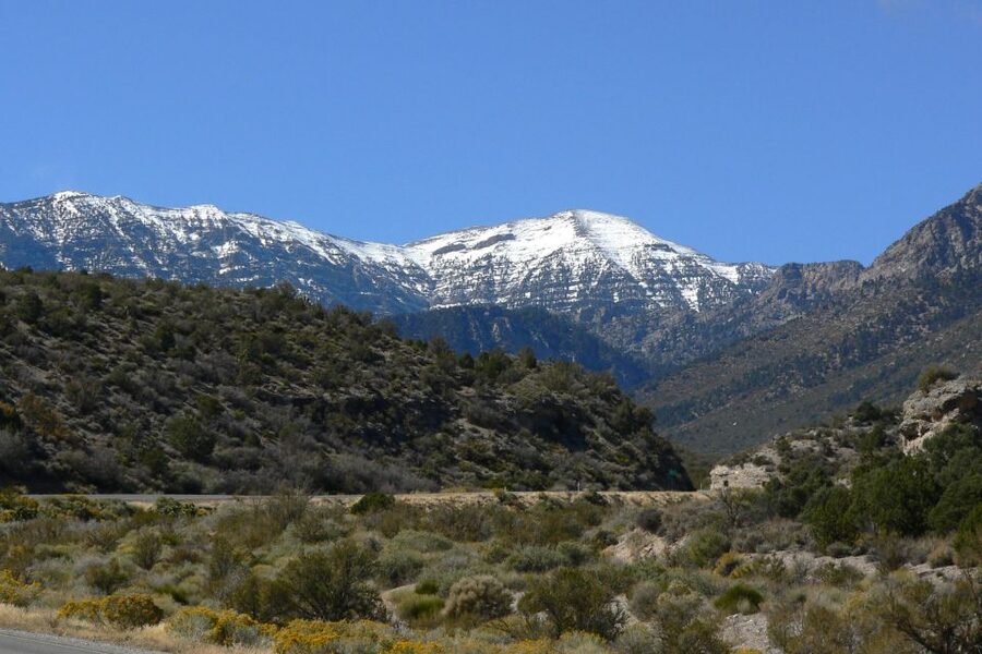 From Las Vegas: Day Trip to Mount Charleston Resort - What to bring (and what the vehicle rules really mean)