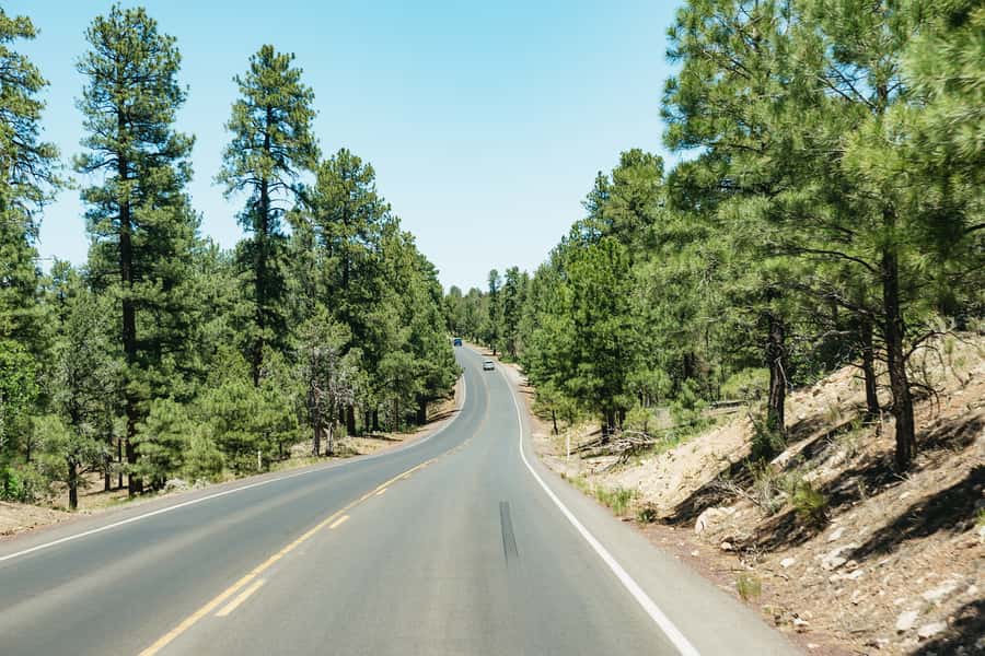 From Las Vegas: Grand Canyon South Rim Day Trip - Getting Around by Bus: Why the Timing Feels Smooth