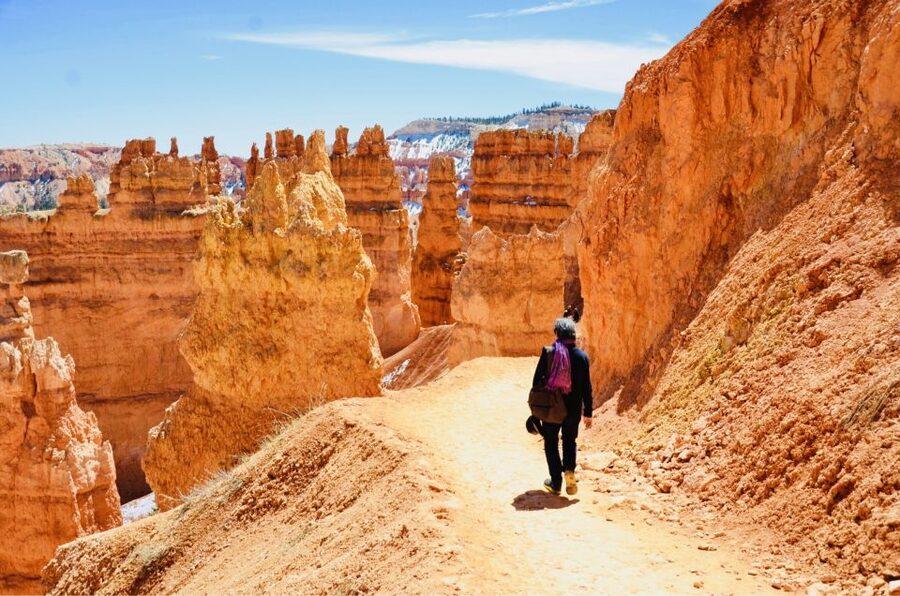 From Las Vegas: Zion and Bryce Canyon Day Trip with Pickup - Why Bryce and Zion together feels like a cheat code from Las Vegas