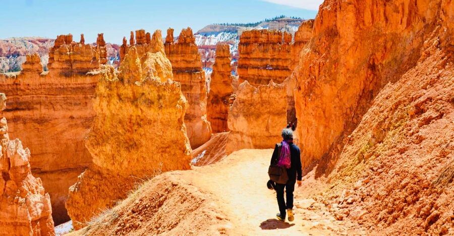 From Las Vegas: Zion and Bryce Canyon Day Trip with Pickup - Bryce Canyon: hoodoos, viewpoints, and a hike that fits most people
