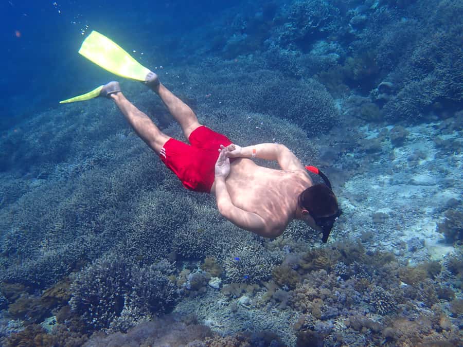 From Lembongan: Nusa Penida Snorkeling Day Trip - Key things that make this tour worth it