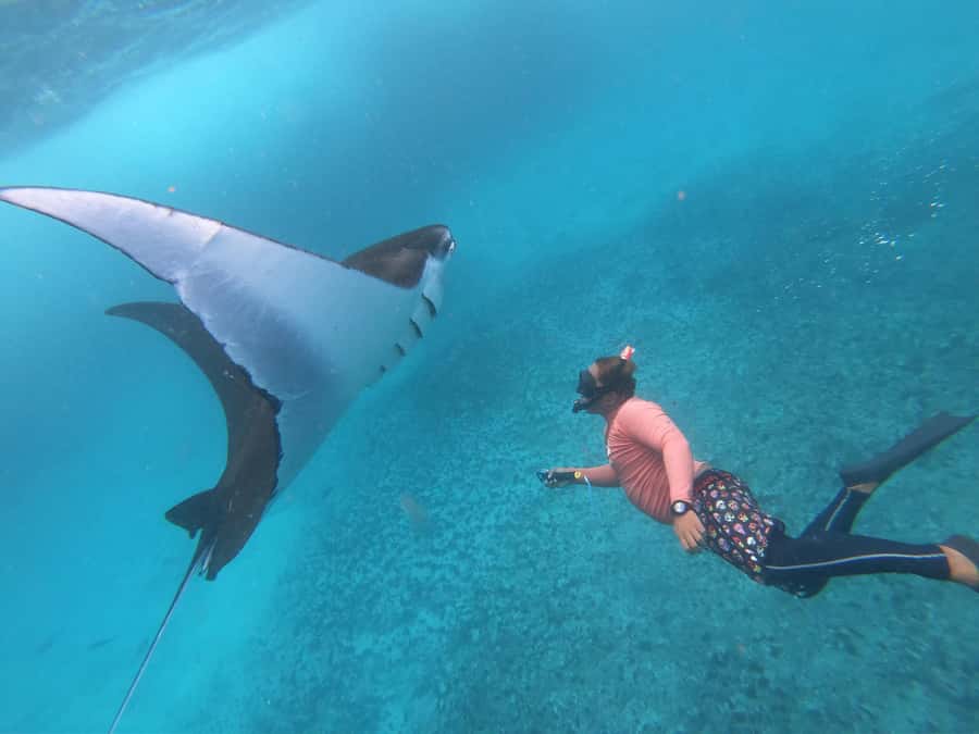 From Lembongan: Nusa Penida Snorkeling Day Trip - Lembongan to Nusa Penida: why this trip is a smart half-day (or near-full day)