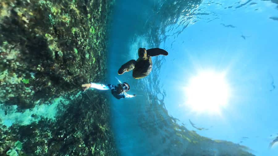 From Lembongan: Nusa Penida Snorkeling Day Trip - The morning setup: pickup, welcome snacks, and the quick safety briefing