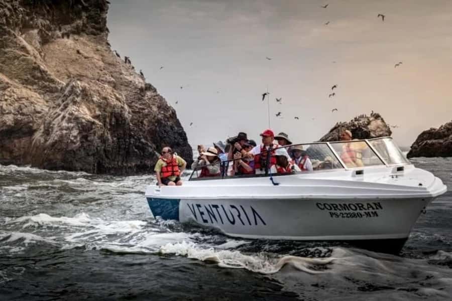 From Lima: Day trip to Paracas, Ica and Oasis Huacachina - Who Should Skip the Buggy (and Who Might Love It)