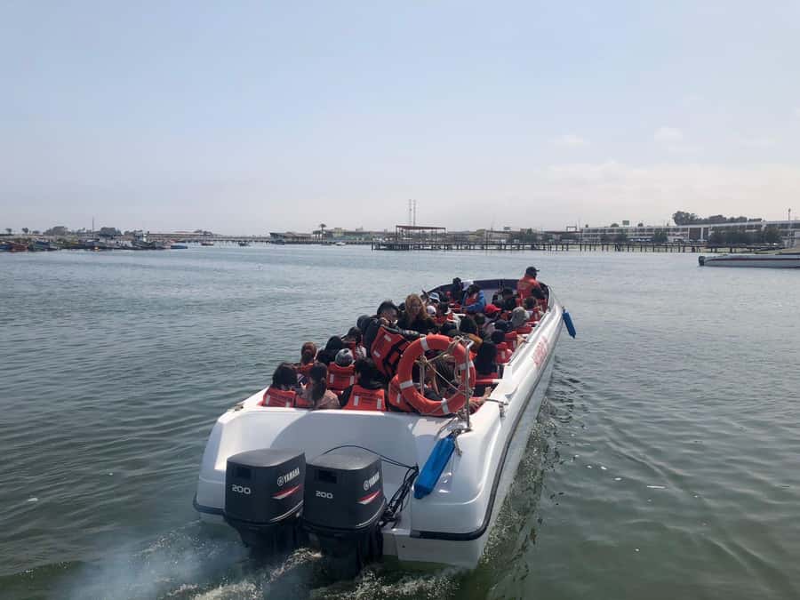 From Lima: Day Trip to Paracas, Ica & Oasis Huacachina - Quick hit points (the stuff that matters)