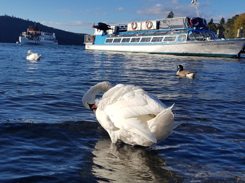 From Liverpool: Lake District Sightseeing Adventure Day Trip - Key highlights you’ll feel on the day