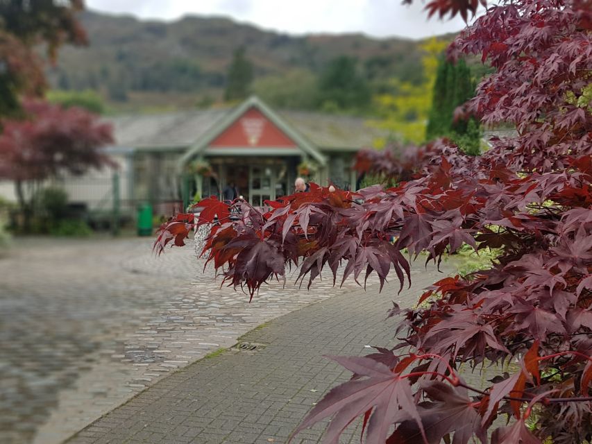 From Liverpool: Lake District Sightseeing Adventure Day Trip - Ambleside’s 1-hour window: how to get more from the streets
