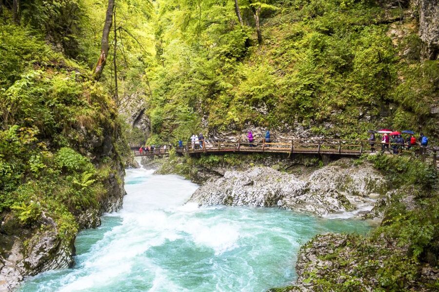 From Ljubljana: Day Trip to Bled and Vintgar Gorge - Lunch at an Alpine restaurant: fueling your next lake moment