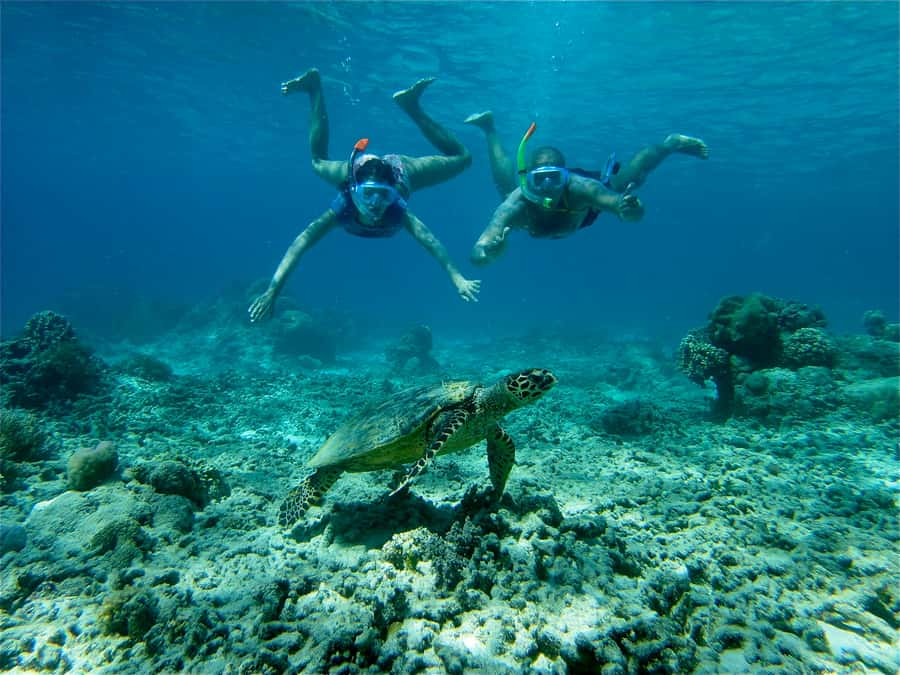 From Lombok: Gili Islands Snorkeling Day Trip - The Lombok Straight boat ride: where the day feels special