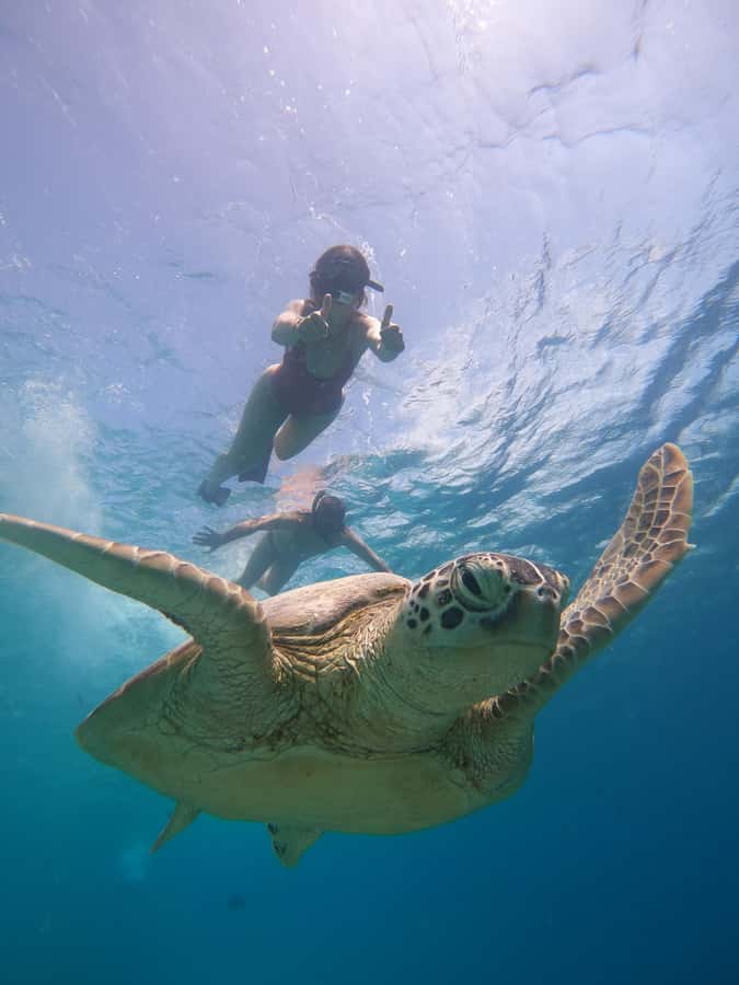 From Lombok: Gili Islands Snorkeling Day Trip - Gili Meno: the snorkeling stop plus the lunch reset