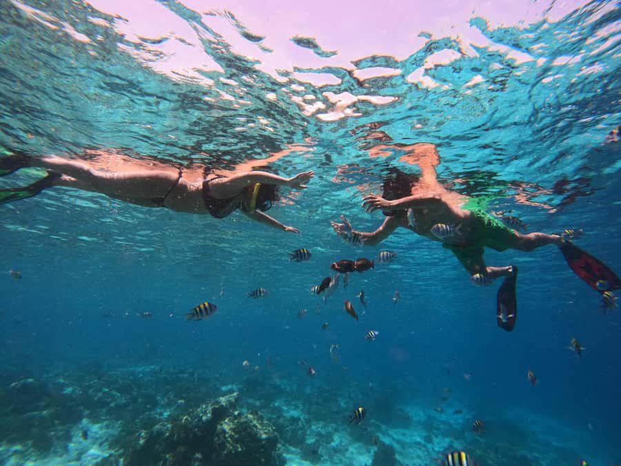 From Lombok: Gili Islands Snorkeling Day Trip - Price and value: is $75 per person fair?