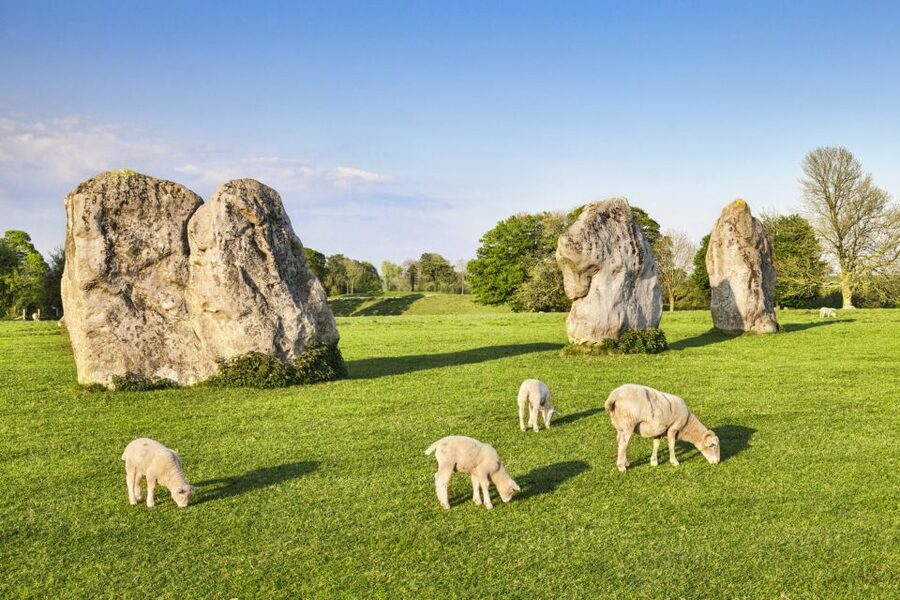 From London: Bath, Avebury and Lacock Village Day Trip - Quick hits before you go
