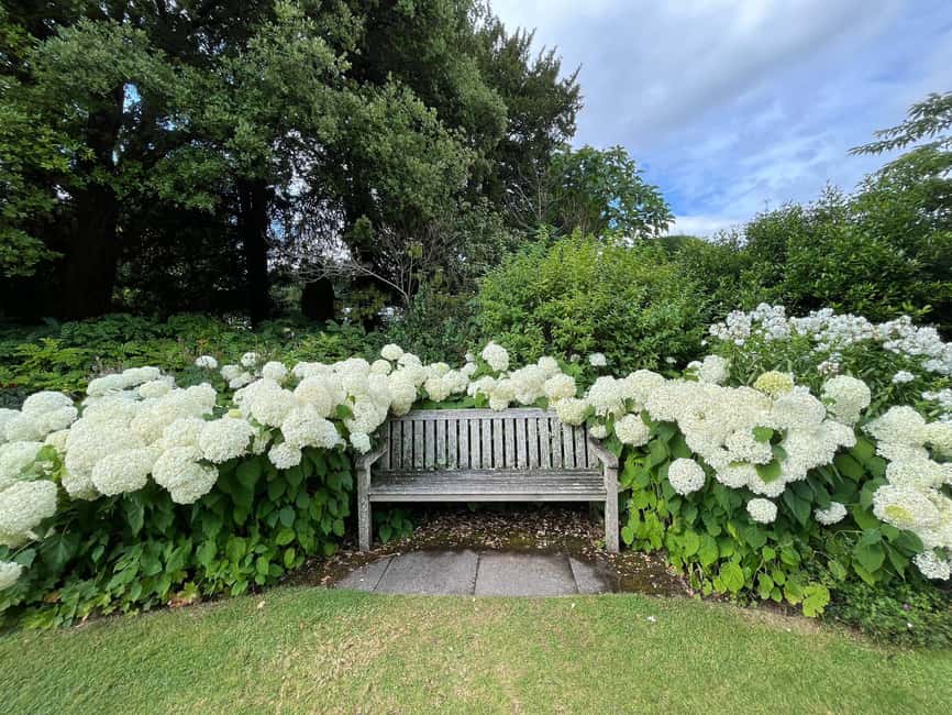 From London: Day Trip to Downton Abbey, Oxford and Bampton - Pacing and timing: how to make the most of 10 hours without feeling rushed