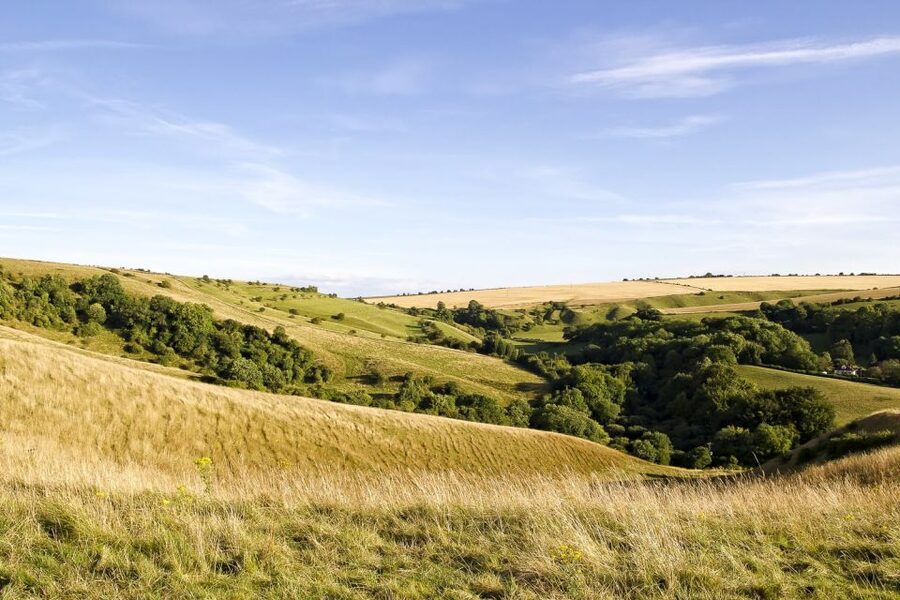 From London: Stonehenge and Bath Day Trip with Ticket - Price and value: what $114 really buys you