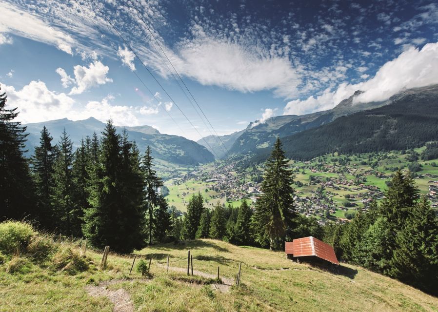 From Lucerne: Day Trip to Grindelwald & Lauterbrunnen - Who this tour suits best