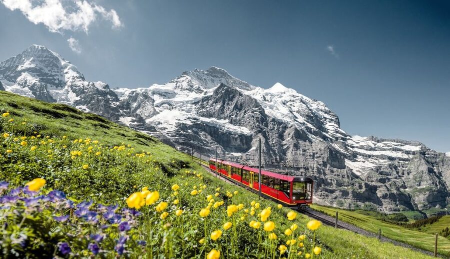 From Lucerne: Day Trip to Jungfraujoch – Top of Europe - Getting oriented at the top: guided help plus the “Alpine Sensation” moment