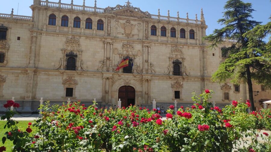 From Madrid: Alcalá de Henares & Cervantes Museum Day Trip - Archbishop’s Palace and Catherine of Aragon: Royal Power in Stone